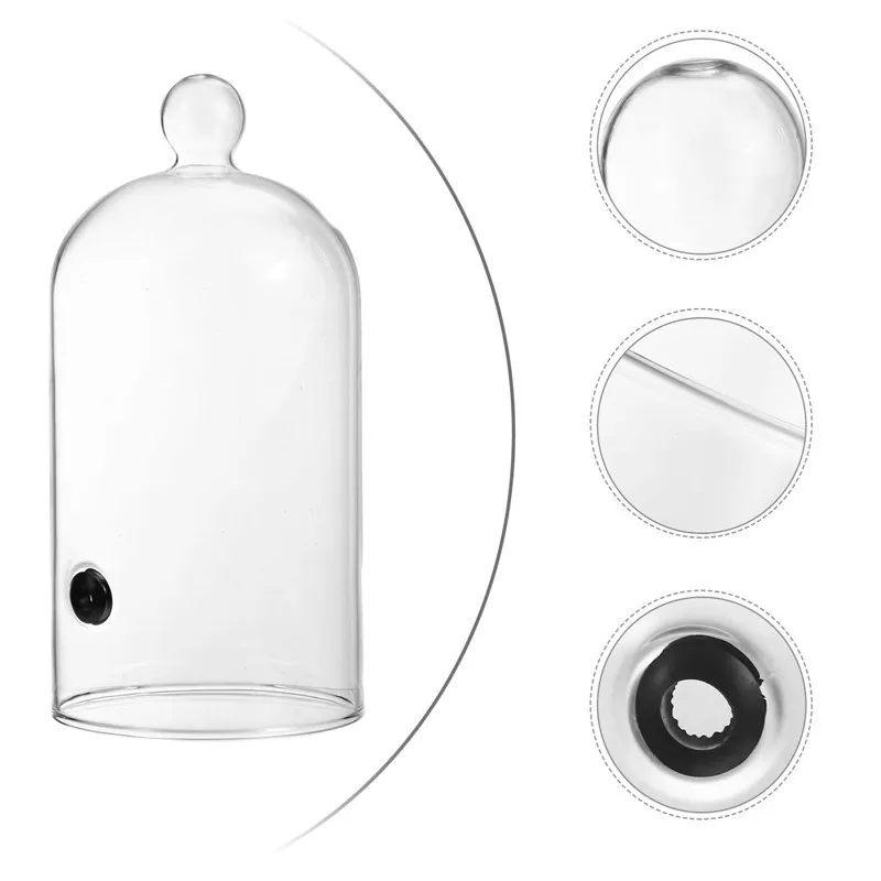 Cúpula vidrio para Ahumador